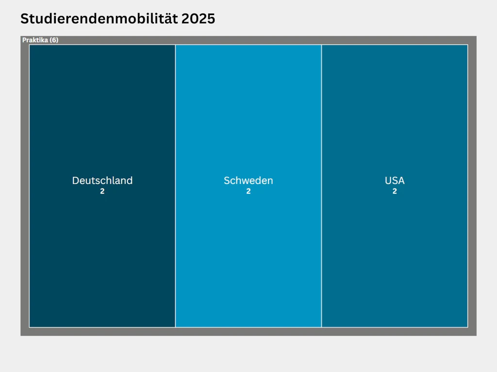 Treemap zur Verteilung der Auslandstudierenden nach Land im Jahr 2025. Insgesamt 6 Studierende absolvierten ein Praktikum im Ausland, davon je 2 Personen in Deutschland, Schweden und den USA.
