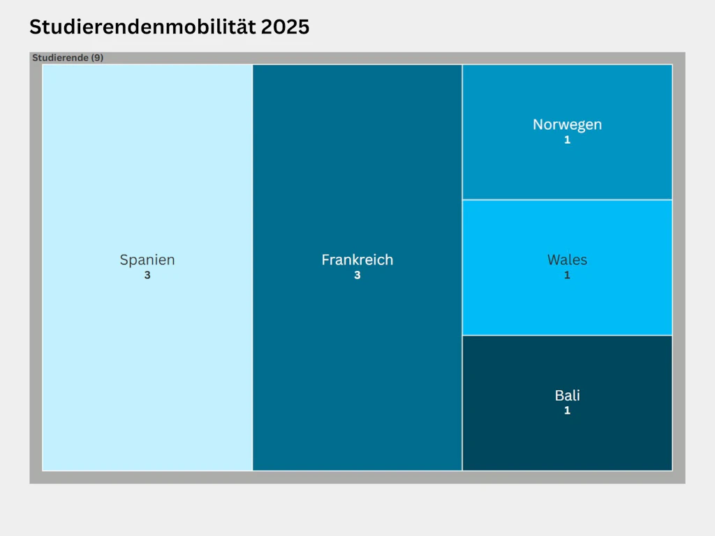 Treemap zur Verteilung der Auslandstudierenden nach Land im Jahr 2025. Insgesamt 9 Personen studierten im Ausland, davon 3 in Spanien, 3 in Frankreich und je eine Person in Norwegen, Wales und Bali.