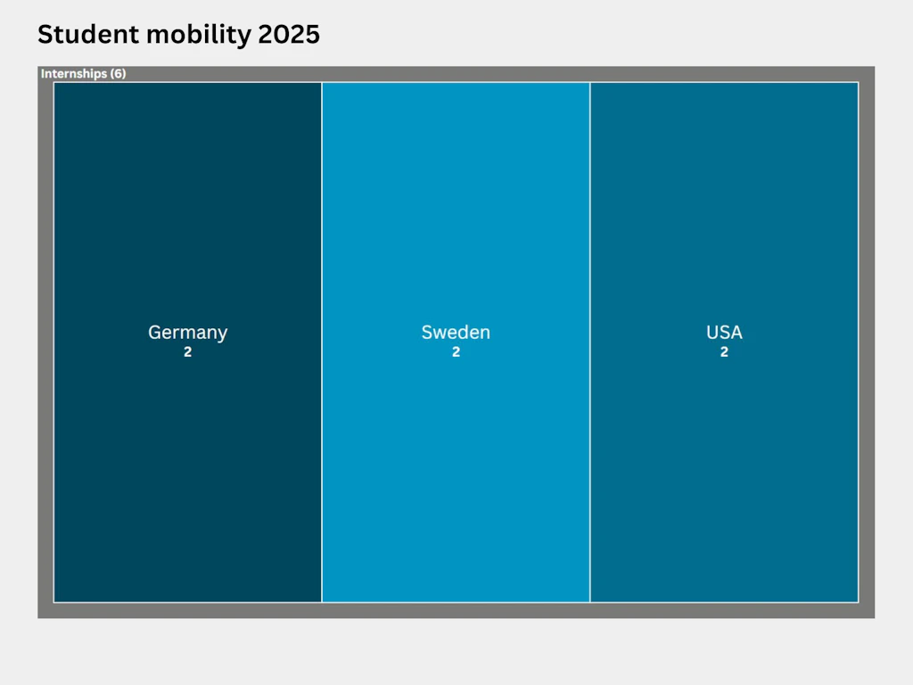 Treemap showing the distribution of international students by country in 2025. Six students undertook an internship abroad: two each in Germany, Sweden and the US.