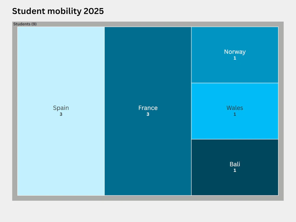 Treemap showing the distribution of international students by country in 2025. Nine people studied abroad, three of them in Spain, three in France, and one each in Norway, Wales and Bali.