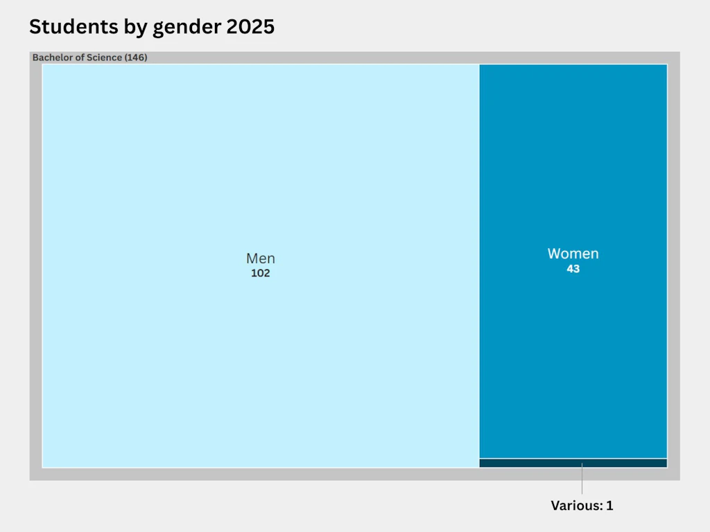 Treemap showing the distribution by gender of students on the Bachelor’s degree programme in 2025. A total of 146 people were enrolled on the BSc programme – 102 men, 43 women and 1 non-binary person.