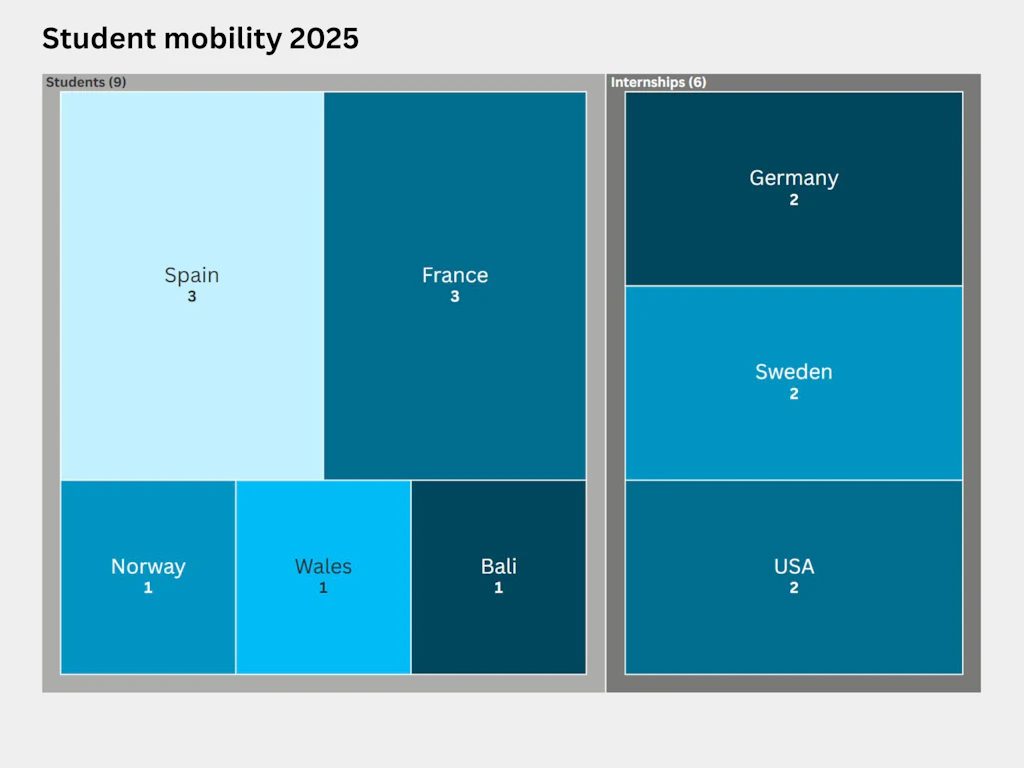 Treemap showing the distribution of international students by country in 2025. Nine people studied abroad, three of them in Spain, three in France, and one each in Norway, Wales and Bali. Six students undertook an internship abroad: two each in Germany, Sweden and the US.