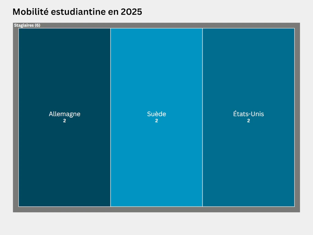 Carte proportionnelle représentant la répartition des étudiants et étudiantes de mobilité de la HEFSM selon le pays dans lequel ils ont effectué un stage en 2025. 6 personnes ont effectué un stage à l’étranger, dont 2 en Allemagne, 2 en Suède et 2 aux États-Unis.