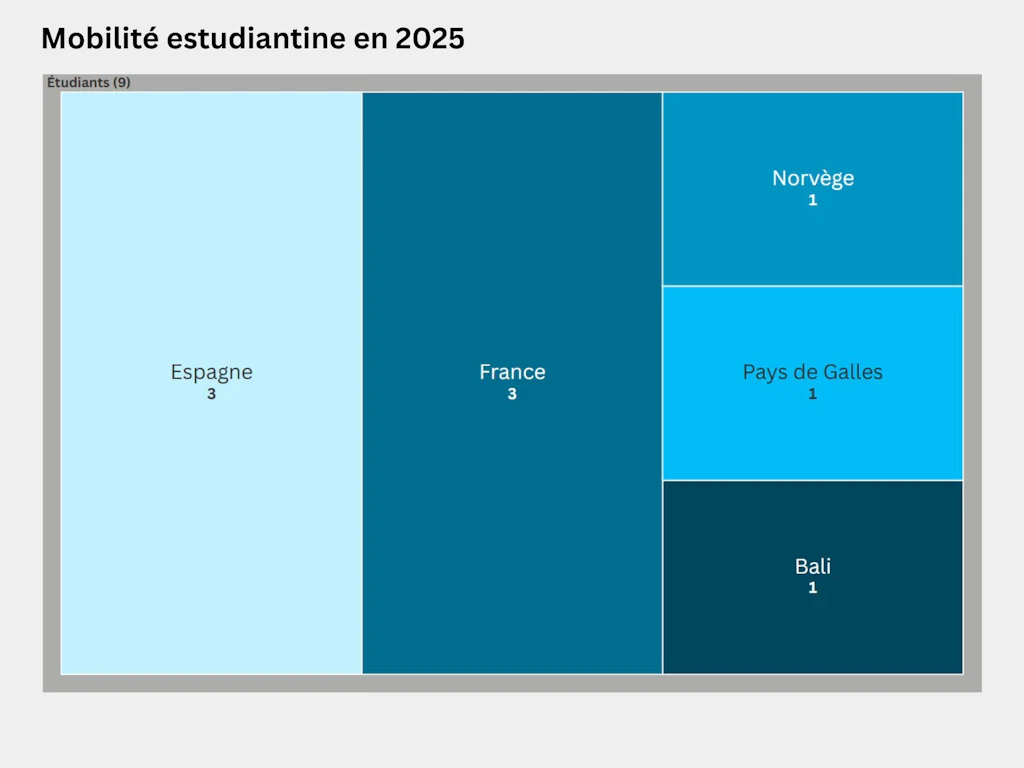 Carte proportionnelle représentant la répartition des étudiants et étudiantes de mobilité de la HEFSM selon le pays dans lequel ils ont étudié en 2025. Au total, 9 personnes ont suivi une partie de leur formation à l’étranger, dont 3 en Espagne, 3 en France, une en Norvège, une au Pays de Galles et une à Bali.