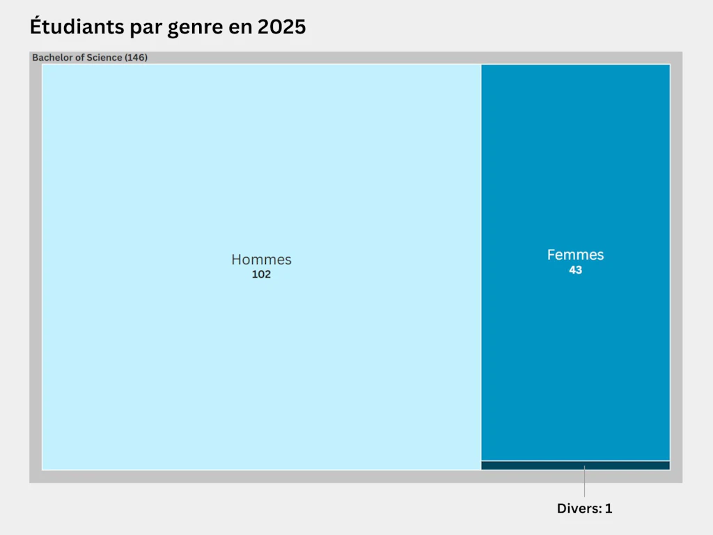 Carte proportionnelle représentant la répartition des étudiants selon leur genre dans la filière de bachelor en 2025. La filière de Bachelor of Science comptait 146 personnes, dont 102 hommes, 43 femmes et une personne non binaire.