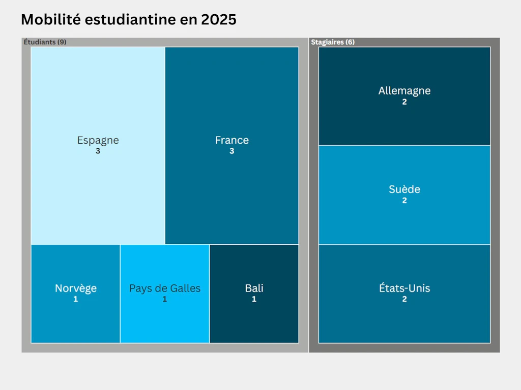 Carte proportionnelle représentant la répartition des étudiants et étudiantes de mobilité de la HEFSM selon leur pays de mobilité en 2025. Au total, 9 personnes ont suivi une partie de leur formation à l’étranger, dont 3 en Espagne, 3 en France, une en Norvège, une au Pays de Galles et une à Bali. 6 personnes ont effectué un stage à l’étranger, dont 2 en Allemagne, 2 en Suède et 2 aux États-Unis.